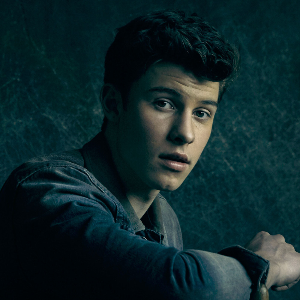shawn-mendes-in-my-blood-spottedsounds